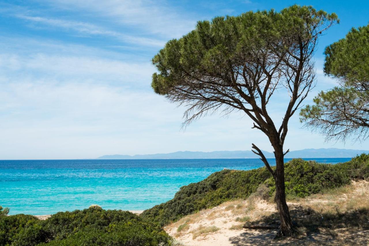 Appartamento Con Vista Mare A Terramala Terra Mala ภายนอก รูปภาพ